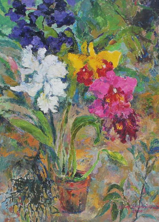 Orchid
